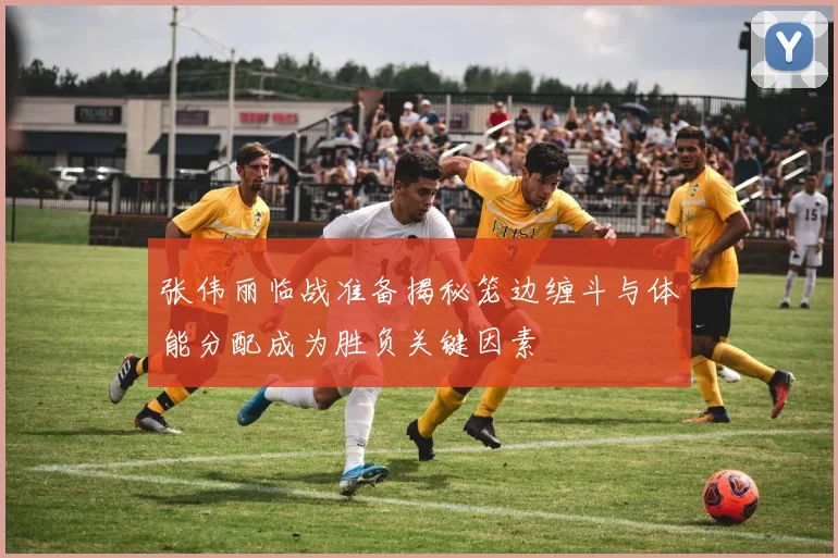 张伟丽临战准备揭秘笼边缠斗与体能分配成为胜负关键因素