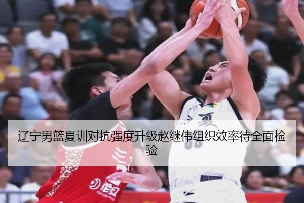 辽宁男篮夏训对抗强度升级赵继伟组织效率待全面检验